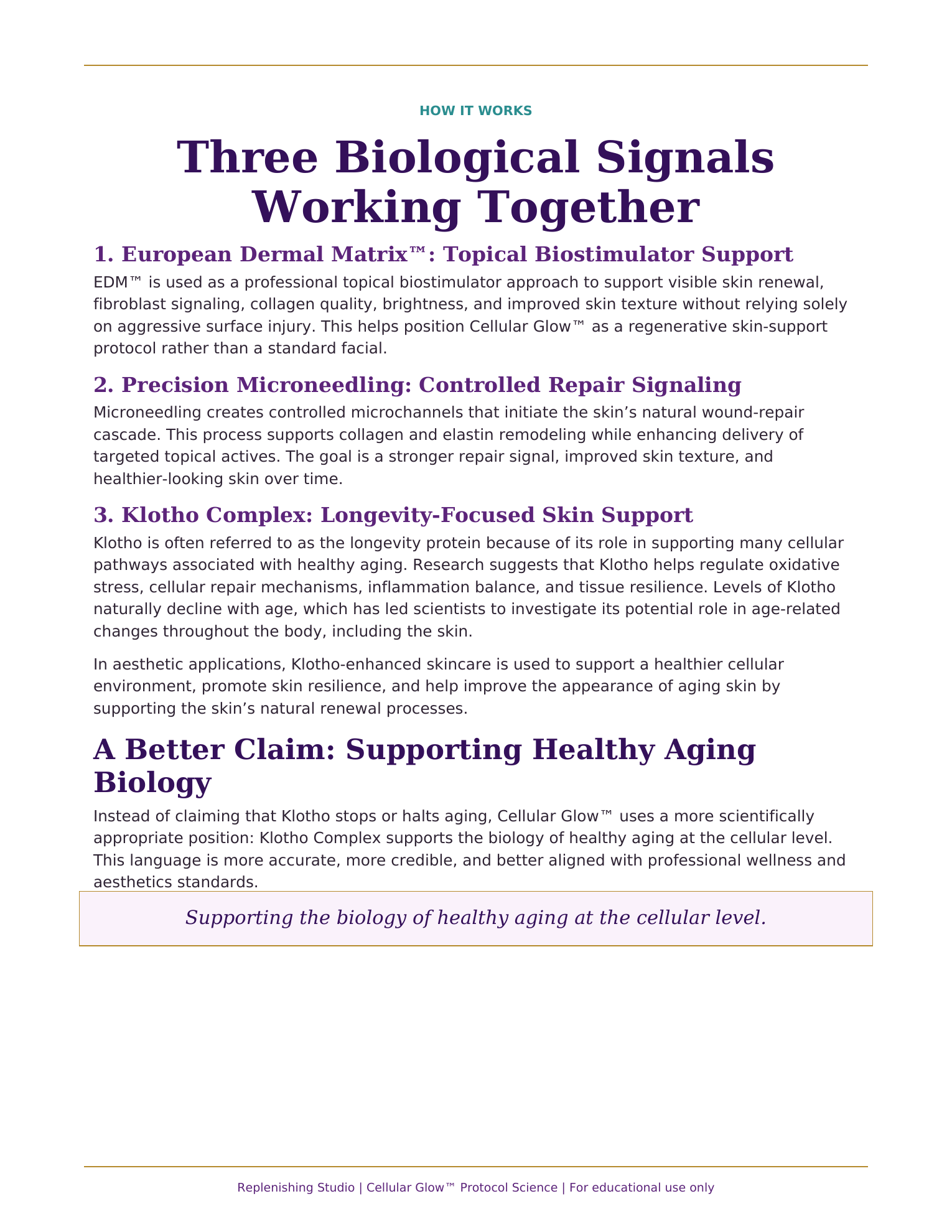 Cellular Glow scientific protocol overview page 2